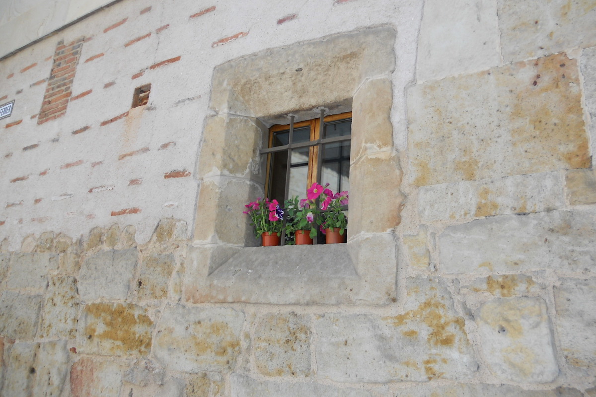 wallflower